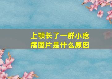 上颚长了一群小疙瘩图片是什么原因