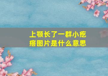 上颚长了一群小疙瘩图片是什么意思