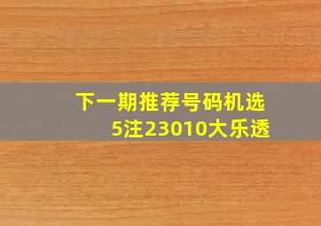 下一期推荐号码机选5注23010大乐透