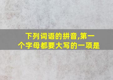 下列词语的拼音,第一个字母都要大写的一项是