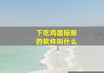 下吃鸡国际服的软件叫什么