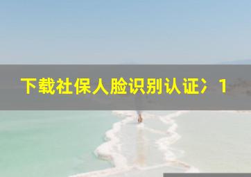 下载社保人脸识别认证冫1