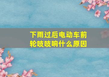 下雨过后电动车前轮吱吱响什么原因