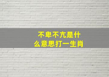 不卑不亢是什么意思打一生肖