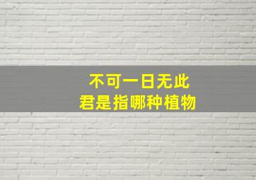 不可一日无此君是指哪种植物