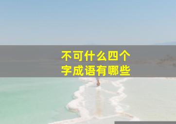 不可什么四个字成语有哪些