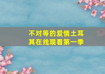 不对等的爱情土耳其在线观看第一季