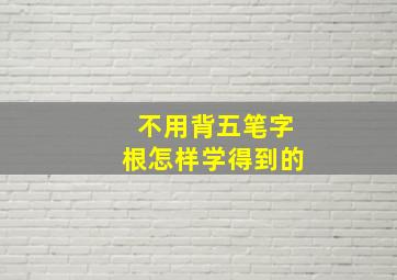 不用背五笔字根怎样学得到的