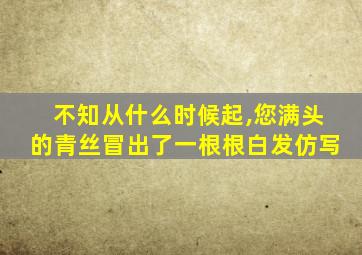 不知从什么时候起,您满头的青丝冒出了一根根白发仿写