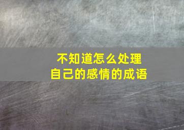 不知道怎么处理自己的感情的成语