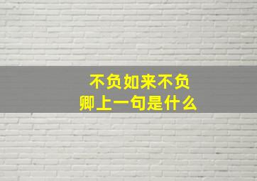 不负如来不负卿上一句是什么