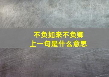 不负如来不负卿上一句是什么意思