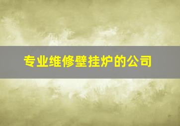 专业维修壁挂炉的公司