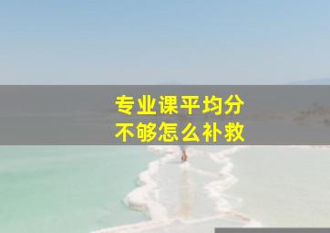 专业课平均分不够怎么补救