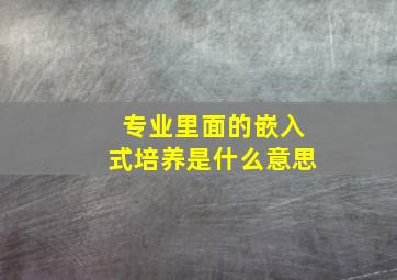 专业里面的嵌入式培养是什么意思