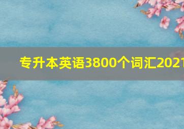 专升本英语3800个词汇2021