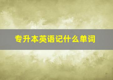 专升本英语记什么单词