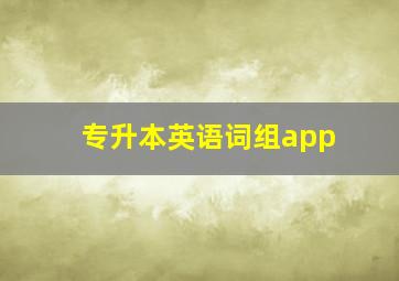 专升本英语词组app