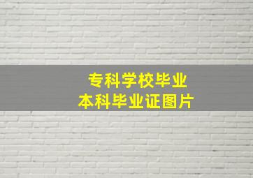 专科学校毕业本科毕业证图片