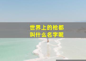 世界上的枪都叫什么名字呢