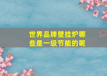 世界品牌壁挂炉哪些是一级节能的呢