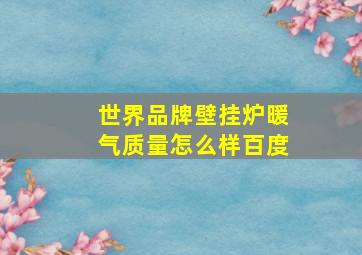 世界品牌壁挂炉暖气质量怎么样百度