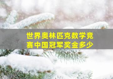 世界奥林匹克数学竞赛中国冠军奖金多少