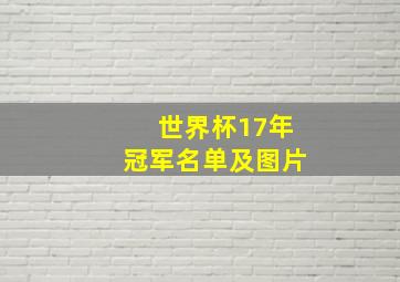 世界杯17年冠军名单及图片