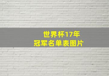 世界杯17年冠军名单表图片