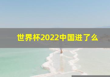 世界杯2022中国进了么