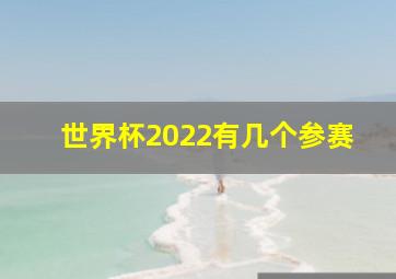 世界杯2022有几个参赛