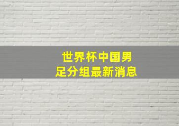 世界杯中国男足分组最新消息