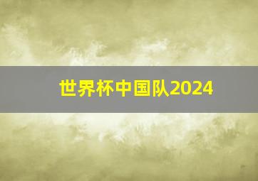 世界杯中国队2024