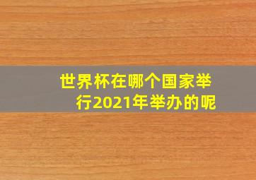 世界杯在哪个国家举行2021年举办的呢