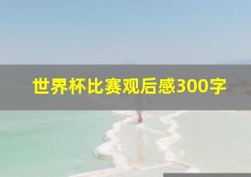 世界杯比赛观后感300字