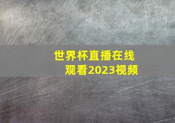 世界杯直播在线观看2023视频