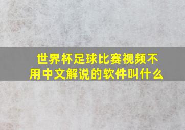 世界杯足球比赛视频不用中文解说的软件叫什么