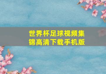 世界杯足球视频集锦高清下载手机版