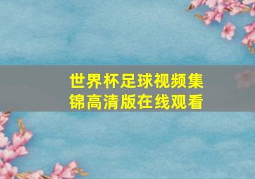 世界杯足球视频集锦高清版在线观看