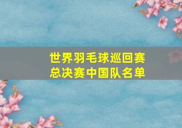 世界羽毛球巡回赛总决赛中国队名单