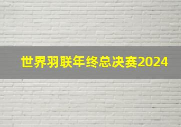 世界羽联年终总决赛2024