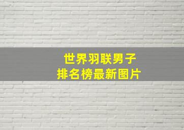 世界羽联男子排名榜最新图片