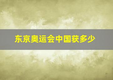 东京奥运会中国获多少