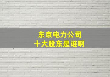 东京电力公司十大股东是谁啊