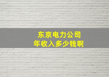 东京电力公司年收入多少钱啊