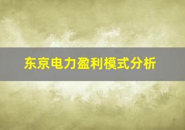 东京电力盈利模式分析