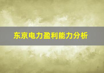 东京电力盈利能力分析