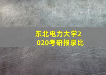 东北电力大学2020考研报录比