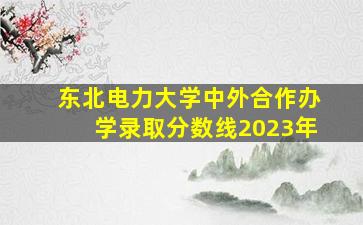 东北电力大学中外合作办学录取分数线2023年