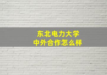 东北电力大学中外合作怎么样